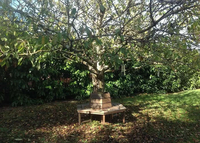 Chez Irene * Saint-Quentin-la-Tour