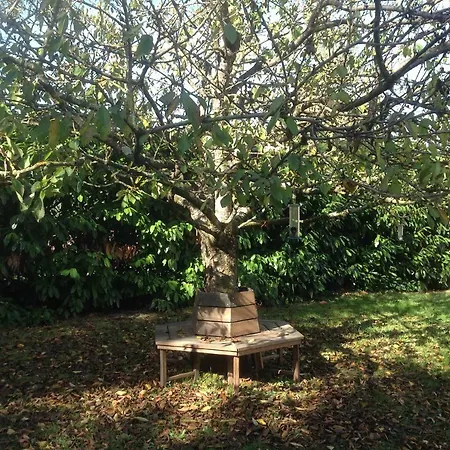 Chez Irene * Saint-Quentin-la-Tour